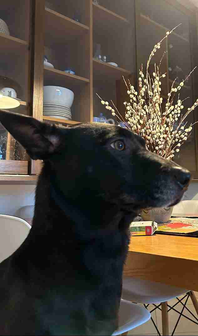 币安支付:可以使用加密货币购买可乐或其他商品了? 怎么买?